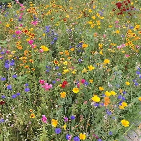 Villa Casa Dos Tres Rapazes *