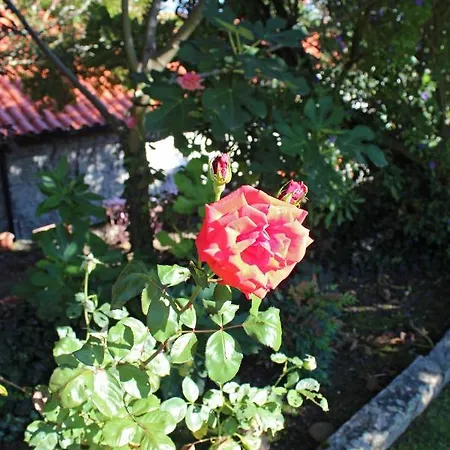 Villa Casa Dos Três Rapazes Monte Cordova