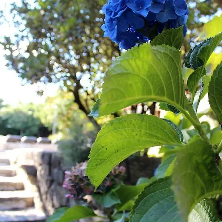 Casa Dos Tres Rapazes Villa