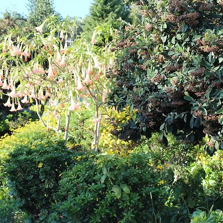 Casa Dos Três Rapazes *