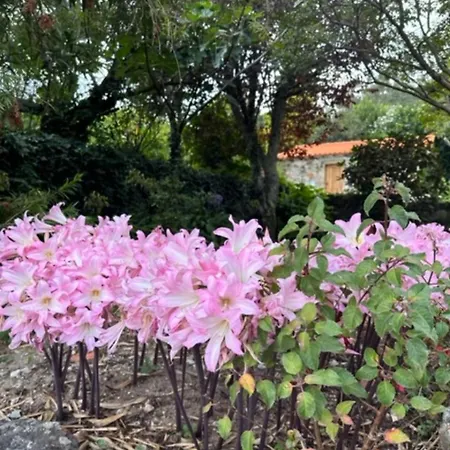 Casa Dos Tres Rapazes Monte Cordova