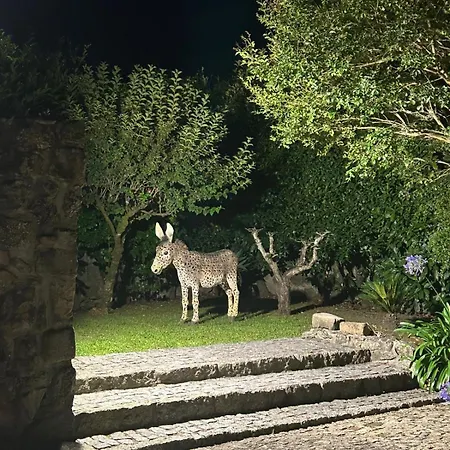 Casa Dos Tres Rapazes * Monte Cordova