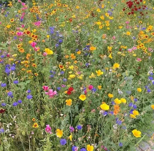 빌라 Casa Dos Tres Rapazes *