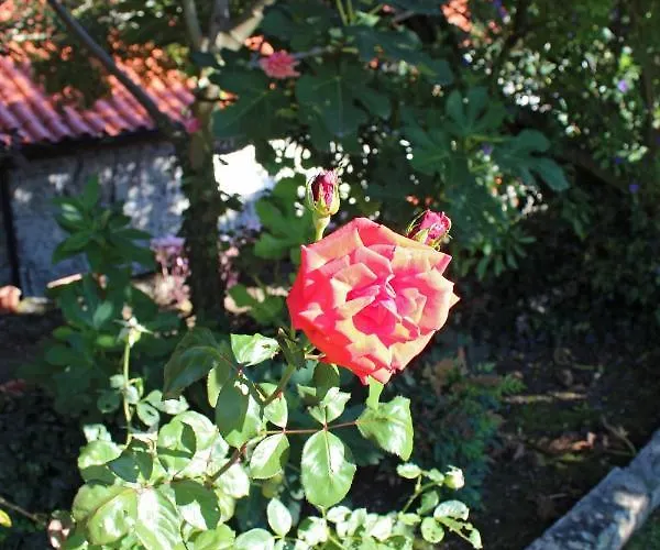 빌라 Casa Dos Tres Rapazes Monte Cordova