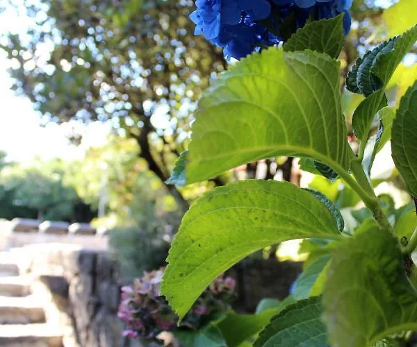 Casa Dos Tres Rapazes וילה