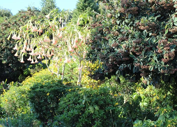 Casa Dos Tres Rapazes *