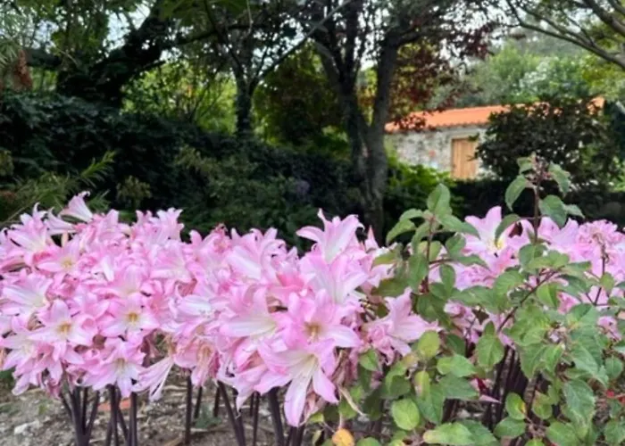 Casa Dos Tres Rapazes Monte Cordova