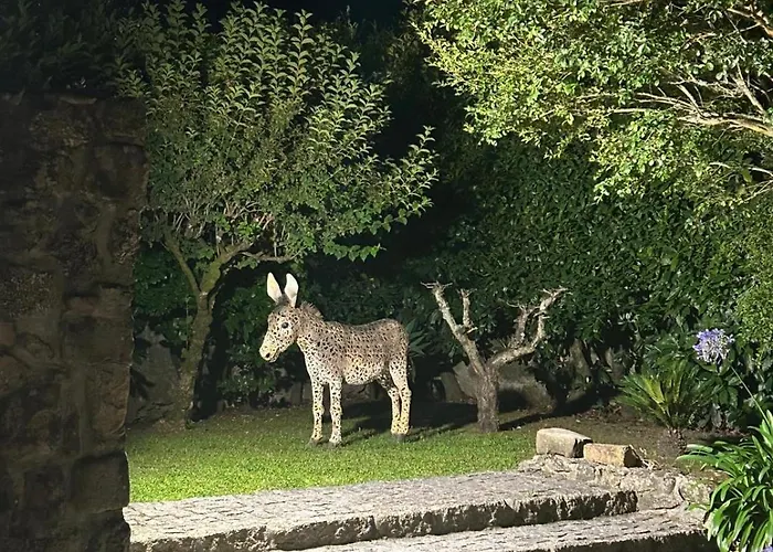 Casa Dos Tres Rapazes * Monte Cordova